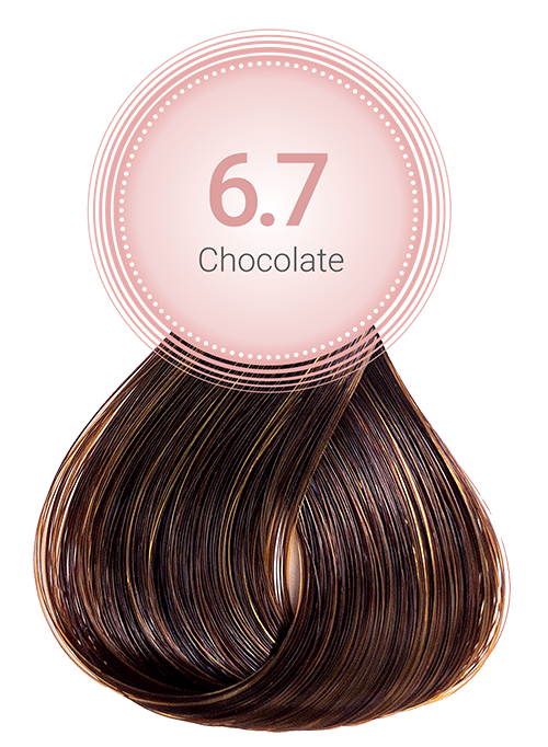 Marrons - Chocolate 6.7