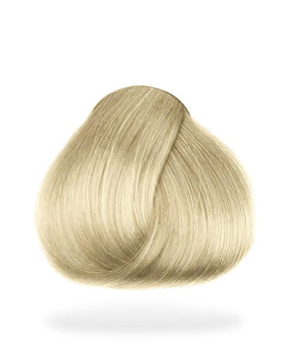 10.13 Champagne - REEGENIA Color